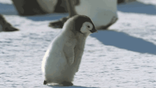微信圖片_20201221172755.gif